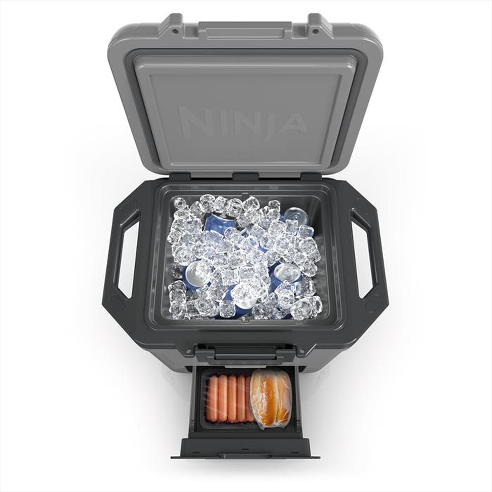 "NINJA - FRIGO PORTATILE FROSTVAULT 28LT-Grigio"