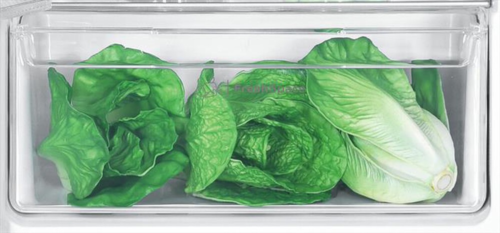 "INDESIT - Frigorifero 2 porte IN D 2040 E Classe E 205 lt-Bianco"