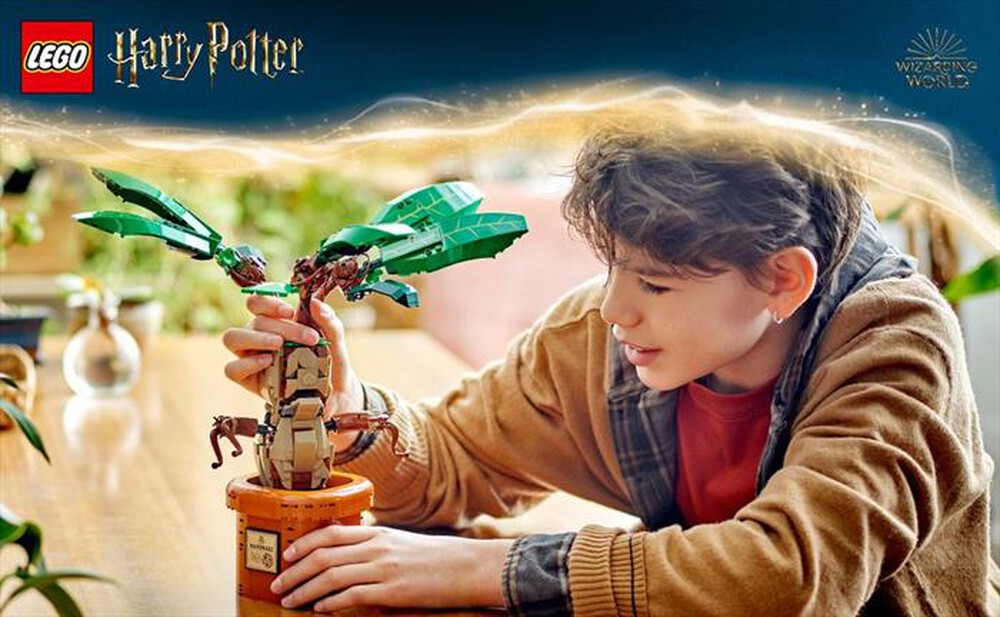 Immagine del prodotto LEGO - Harry Potter Calendario dell’Avvento 2024 - 76438
