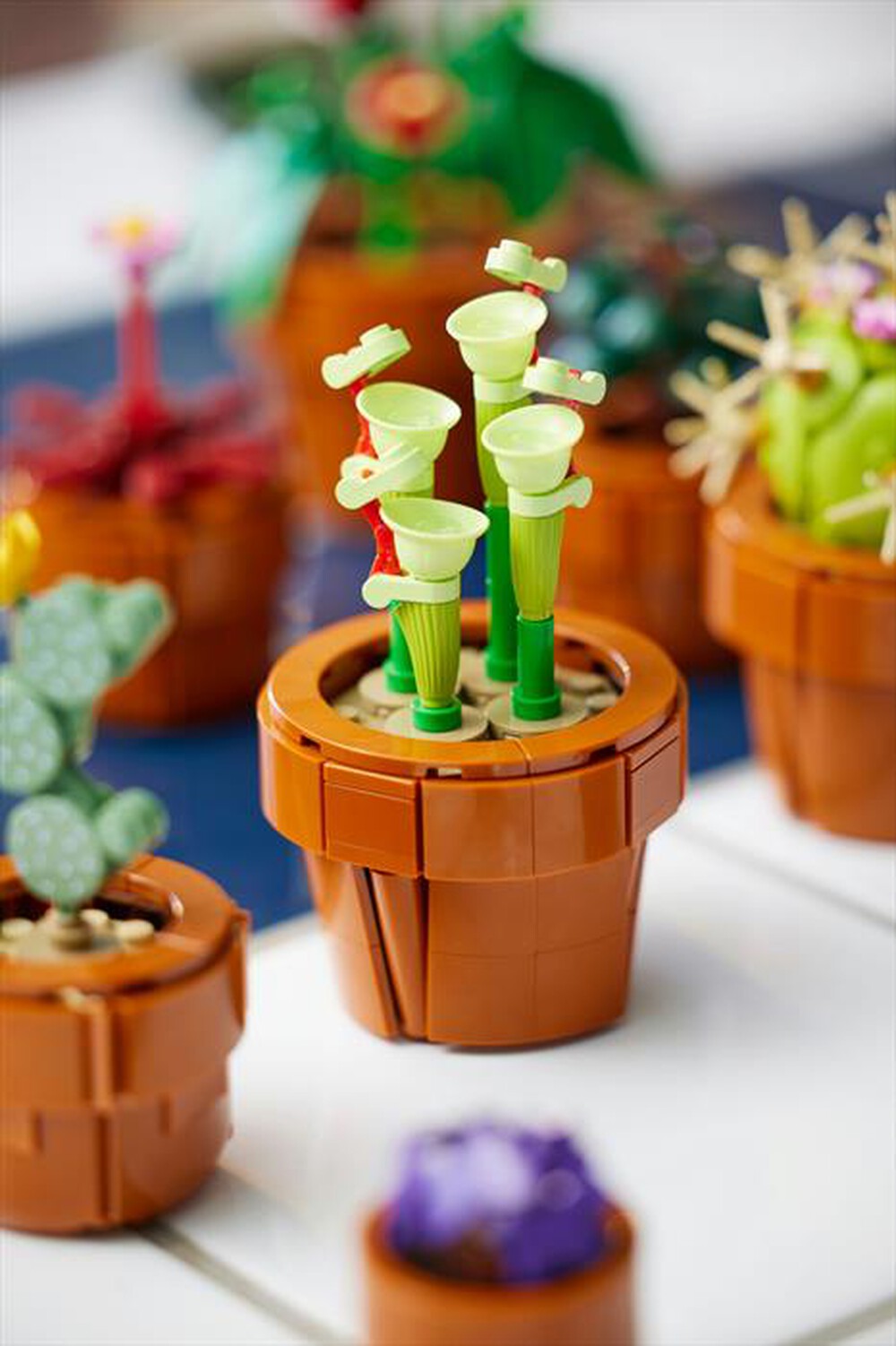 Immagine del prodotto LEGO - BOTANICALS Piantine 10329