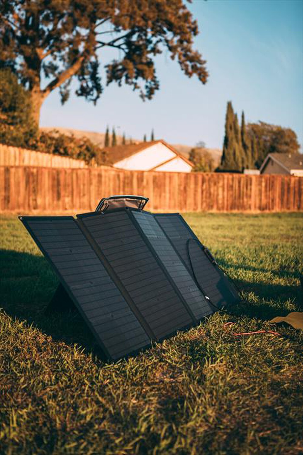 "ECOFLOW - Pannello solare portatile 160W-nero"
