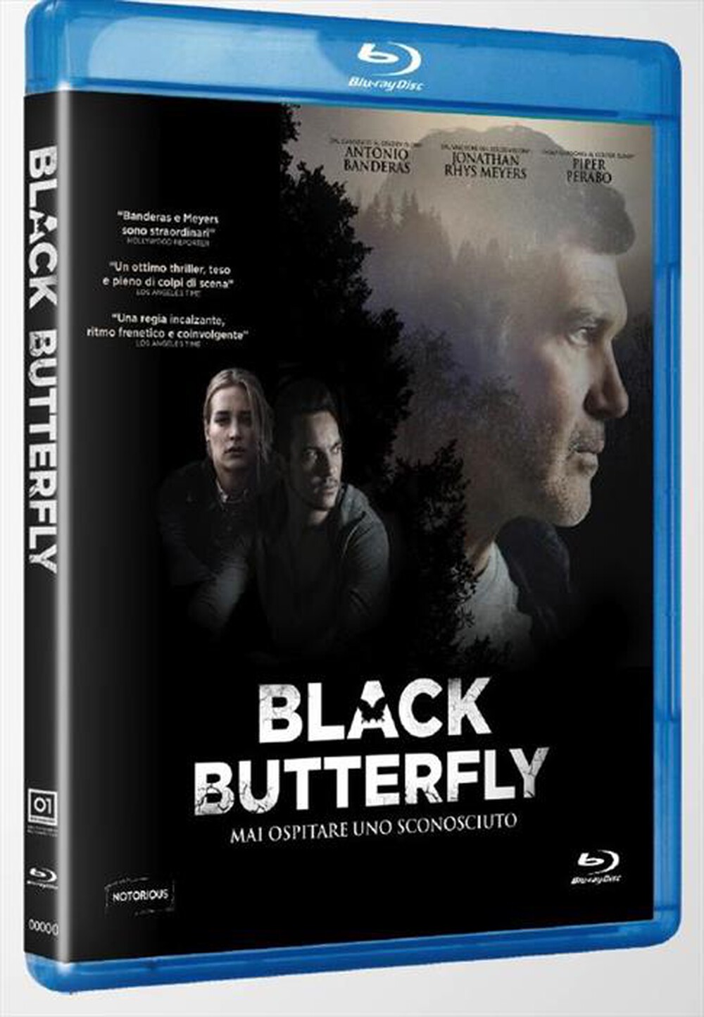 "EAGLE PICTURES - Black Butterfly"
