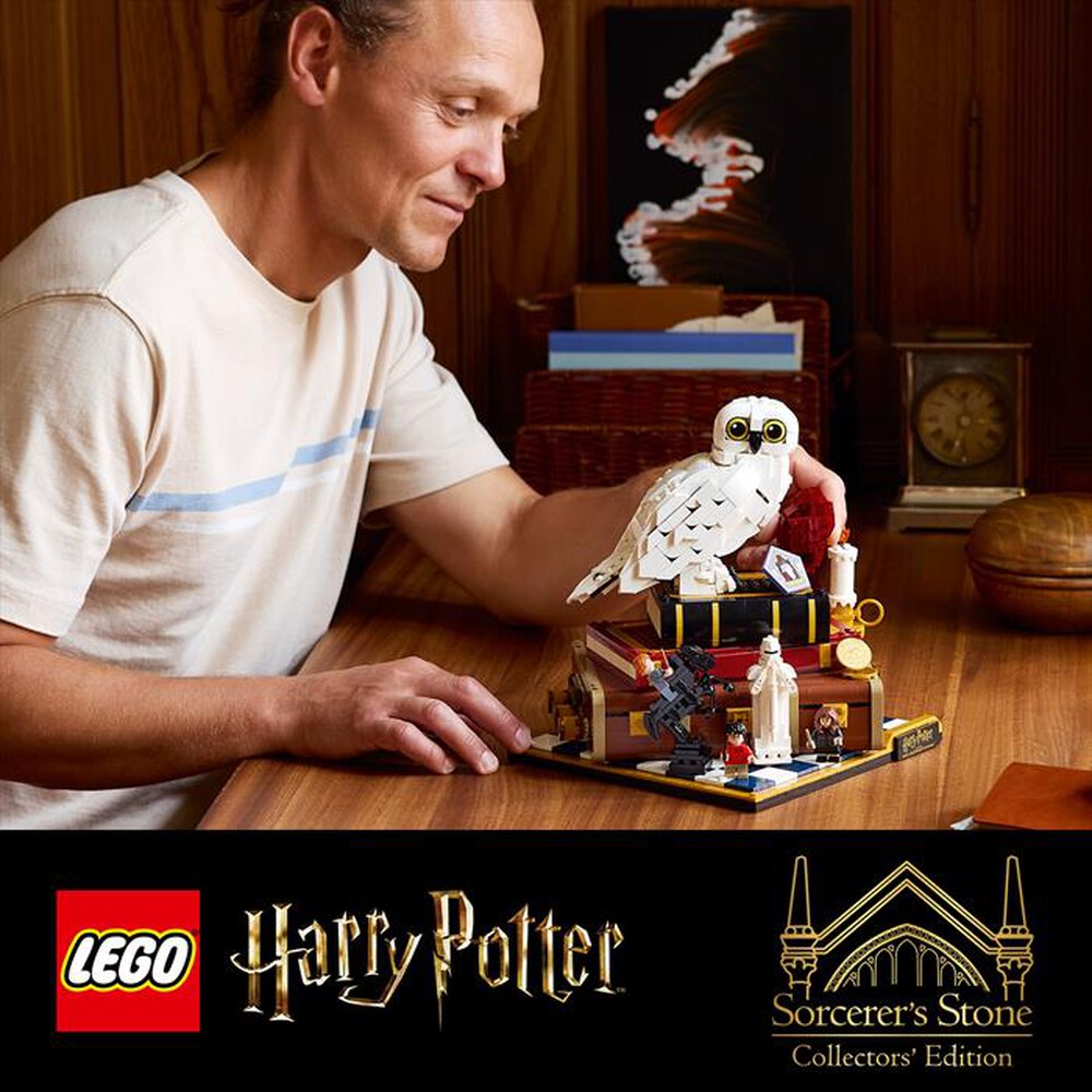 Immagine del prodotto LEGO - HARRY POTTER Pietra filosofale - 76466-Multicolore