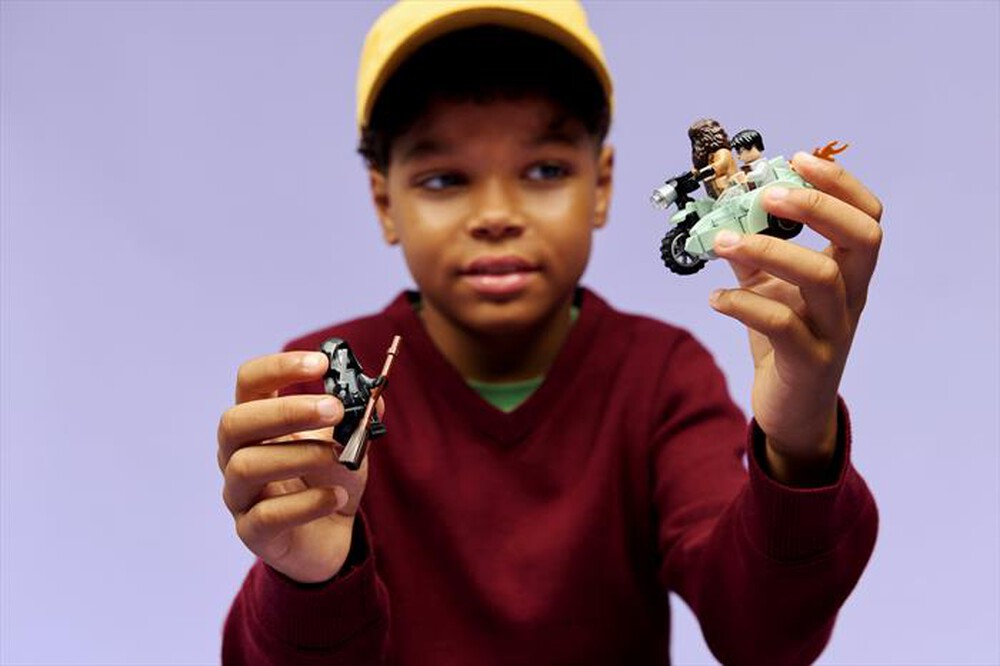 Immagine del prodotto LEGO - HARRY POTTER Fuga da Privet Drive di Hagrid -76459