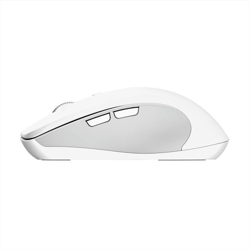Immagine del prodotto TRUST - FERRO HYPERWHEEL WRLS MOUSE-White