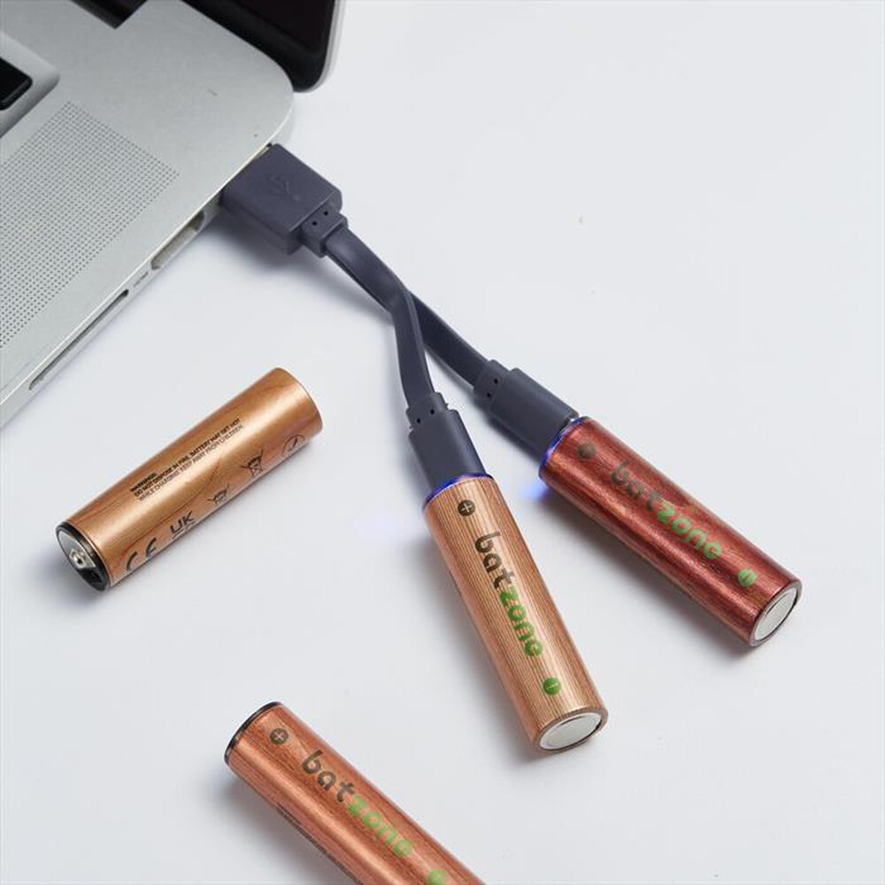 Immagine del prodotto BATZONE - LI-ION USBC BATT AA 2220MWH 4 PCS CABLE-Marrone/ Legno