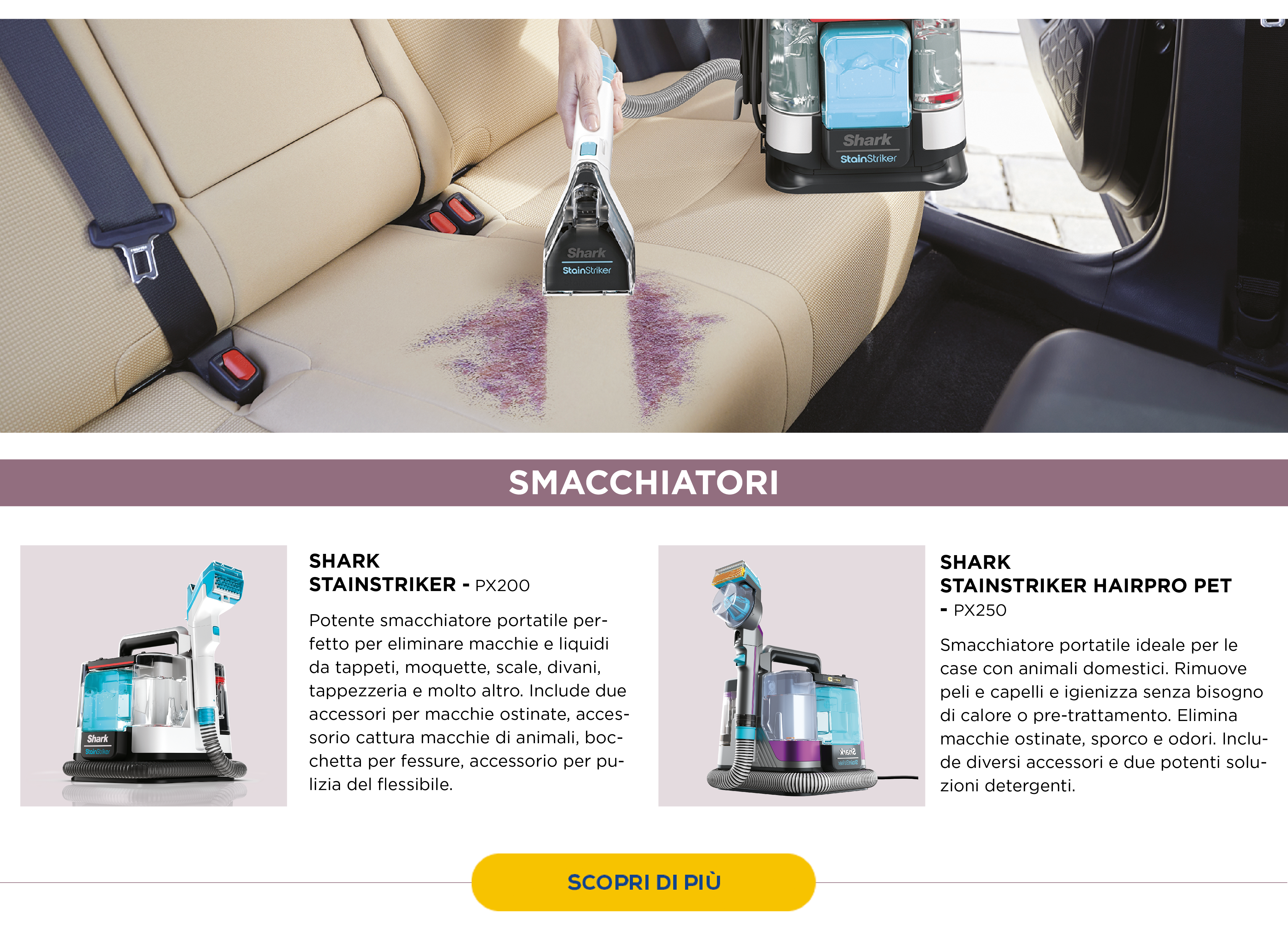 Smacchiatori