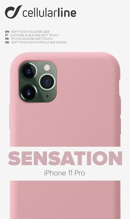 SENSATIONIPHXIP Rosa