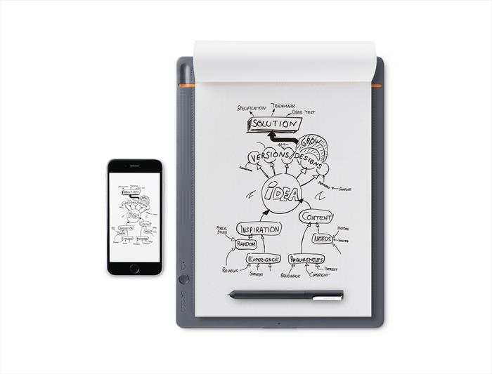 Image of BAMBOO SLATE LARGE