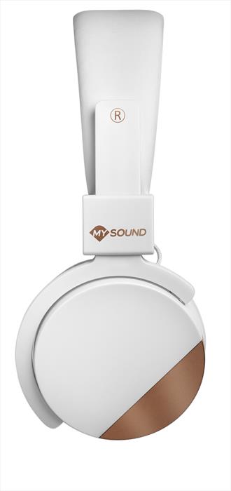 Image of Speak Metal White METAL