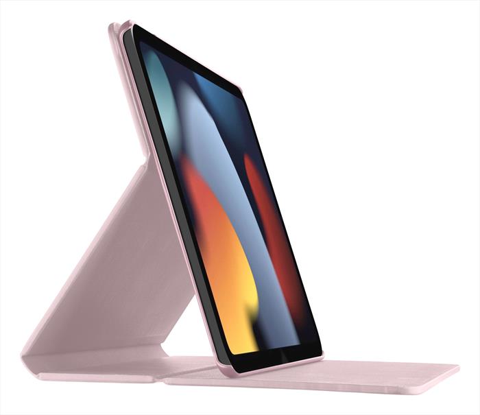 Image of        FOLIOIPADMINI2021P Rosa