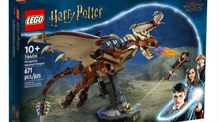 Image of HARRY POTTER-76406 Multicolore