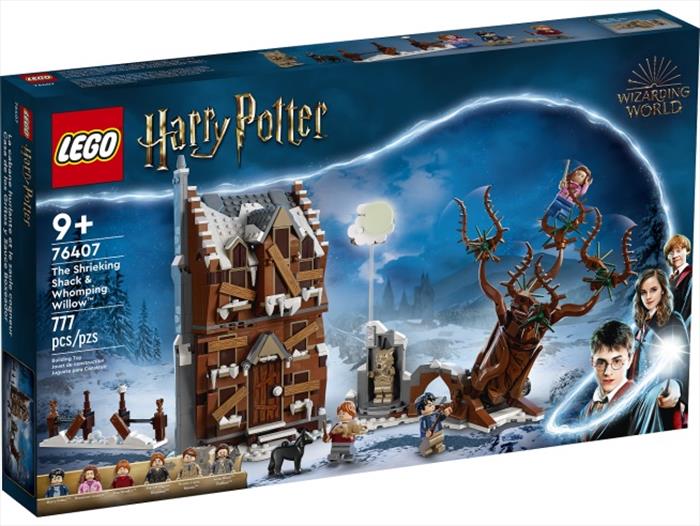 Image of HARRY POTTER - 76407 Multicolore