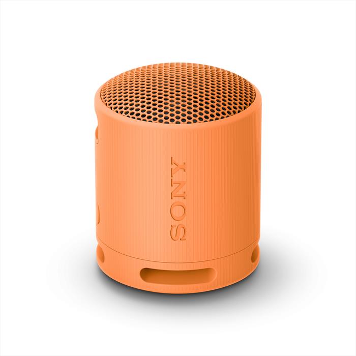 Image of Speaker SRSXB100D.CE7 Arancione