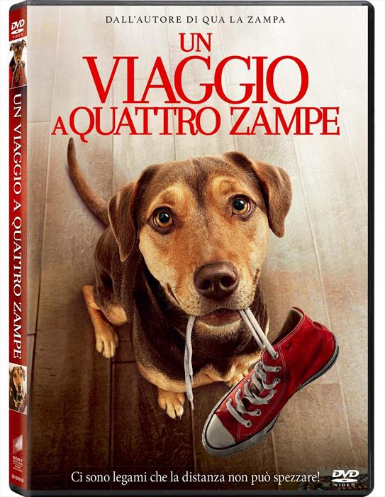 Eagle Pictures - Viaggio A Quattro Zampe (un)