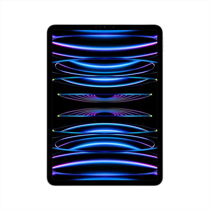 Apple - iPad Pro 11" Wi-fi 128gb-argento