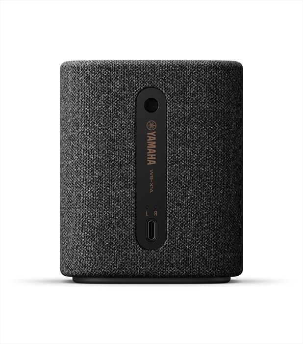 Yamaha WS-X1A Carbonio, Grigio 10 W-image