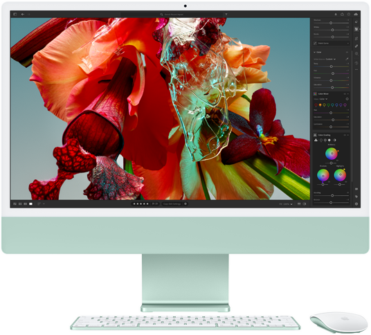 Lo schermo di un iMac che mostra l’immagine di un fiore colorato in Adobe Lightroom per dimostrare la gamma cromatica e la risoluzione del display Retina 4,5K.