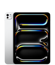 iPad Pro 11