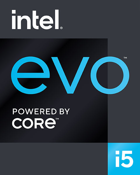 badge-intel